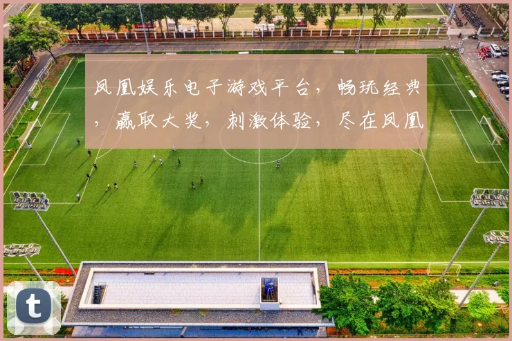 凤凰娱乐电子游戏平台，畅玩经典，赢取大奖，刺激体验，尽在凤凰游戏